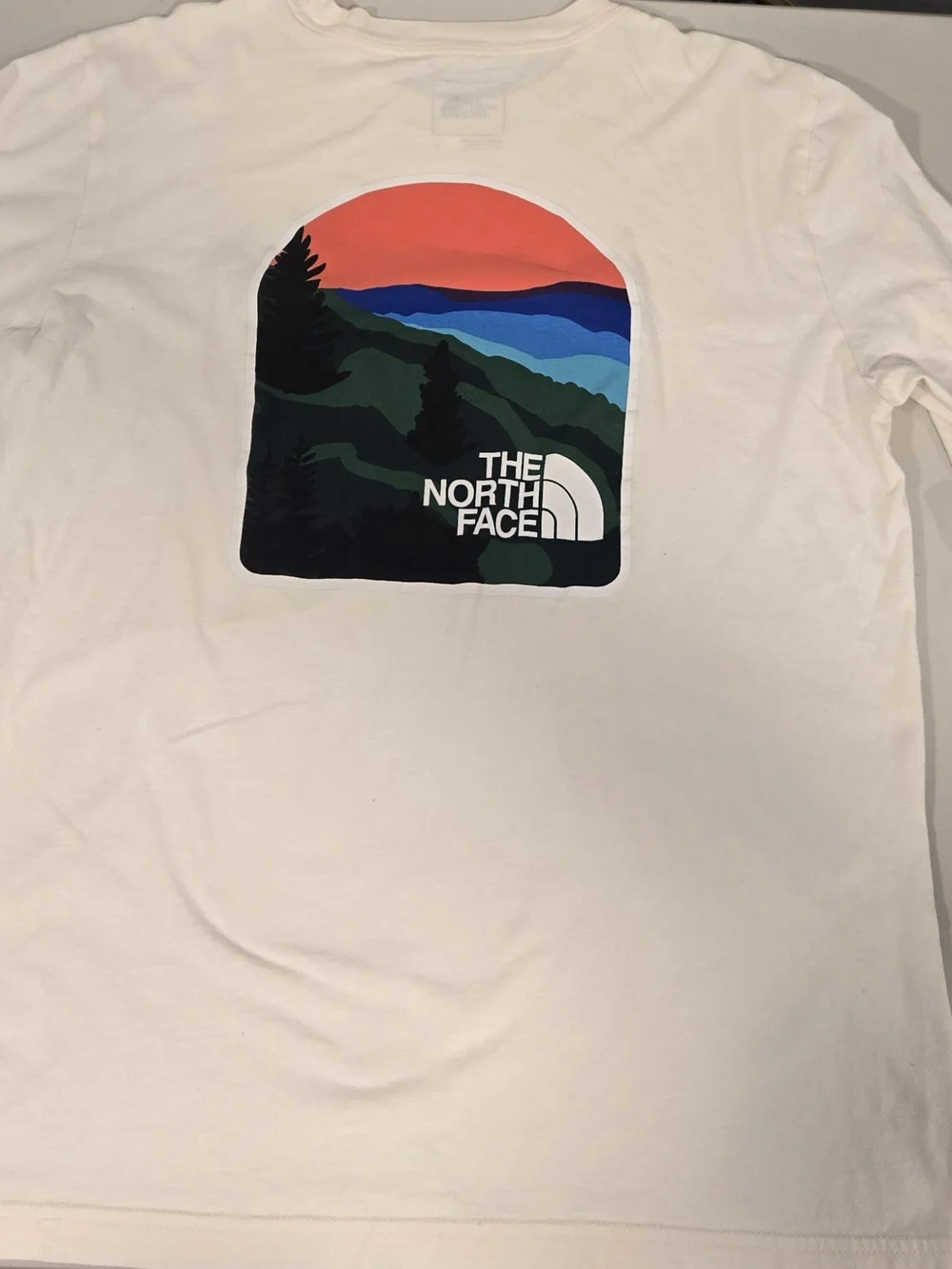 The North Face Men's Cream Long-Sleeve Graphic Sweatshirt